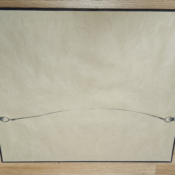 Dale Earnhardt Jr framed matted 17x20 - Picture 3 of 3